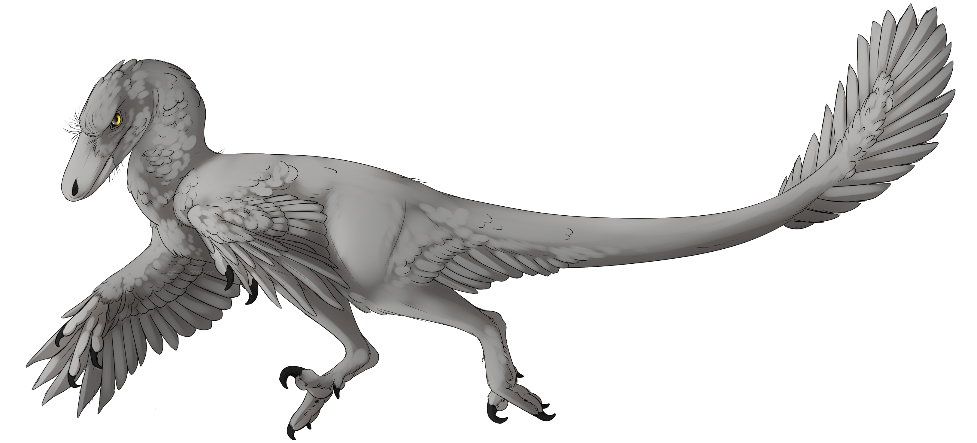 velociraptor accurate