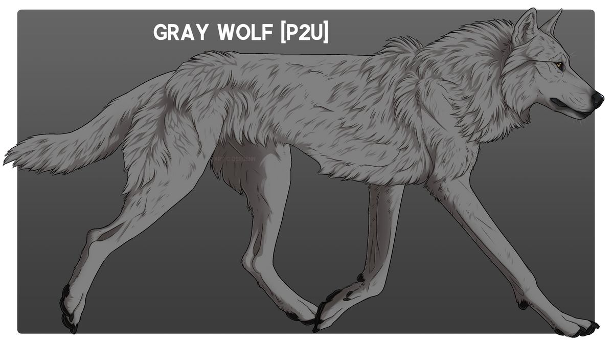 2023 GRAY WOLF [P2U] by dergenn on DeviantArt