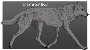 2023 GRAY WOLF [P2U]