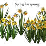 Spring has sprung PSD