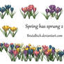 spring has sprung2 PSD