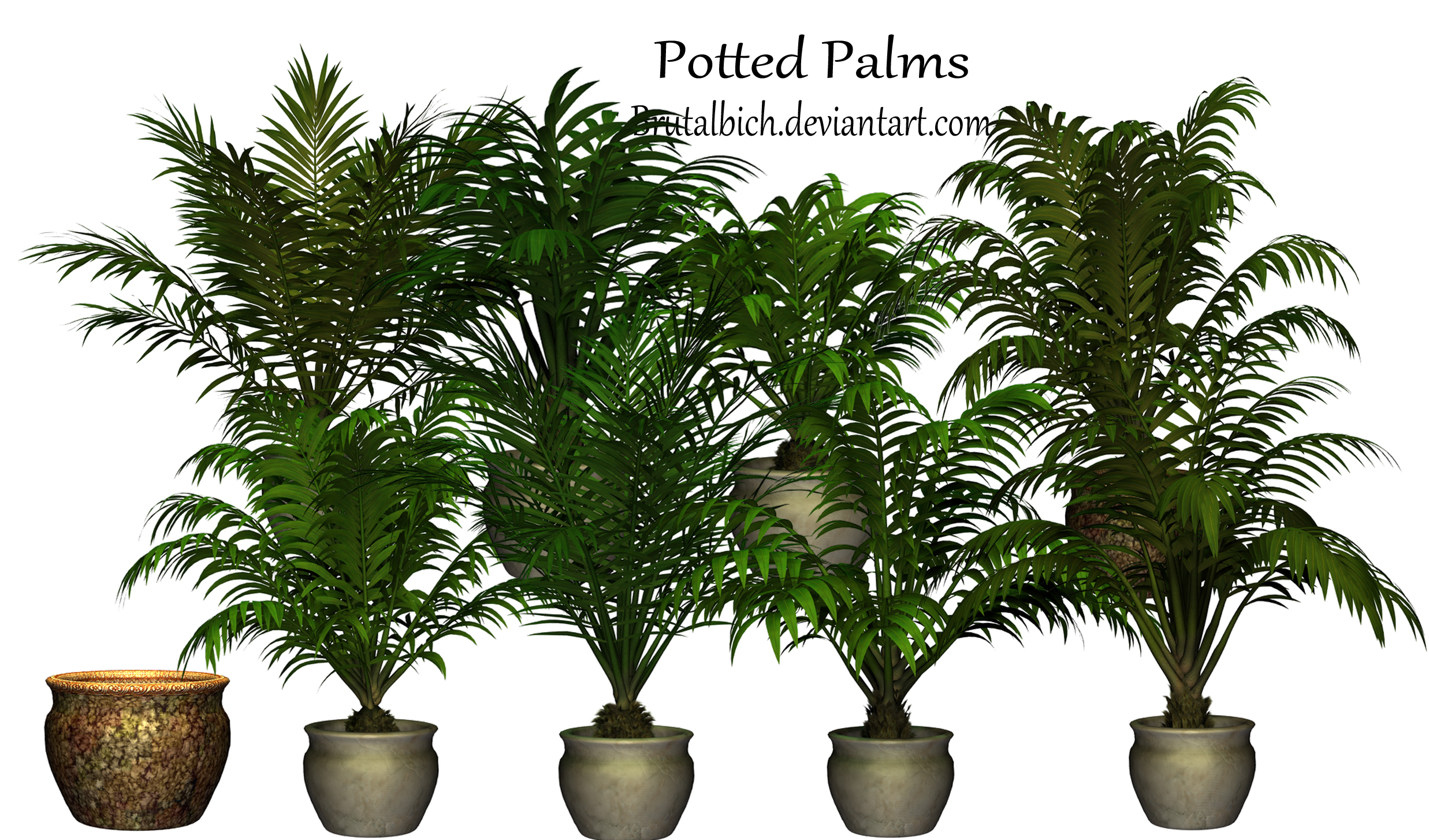 Potted  Palms PSD