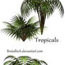 Tropicals