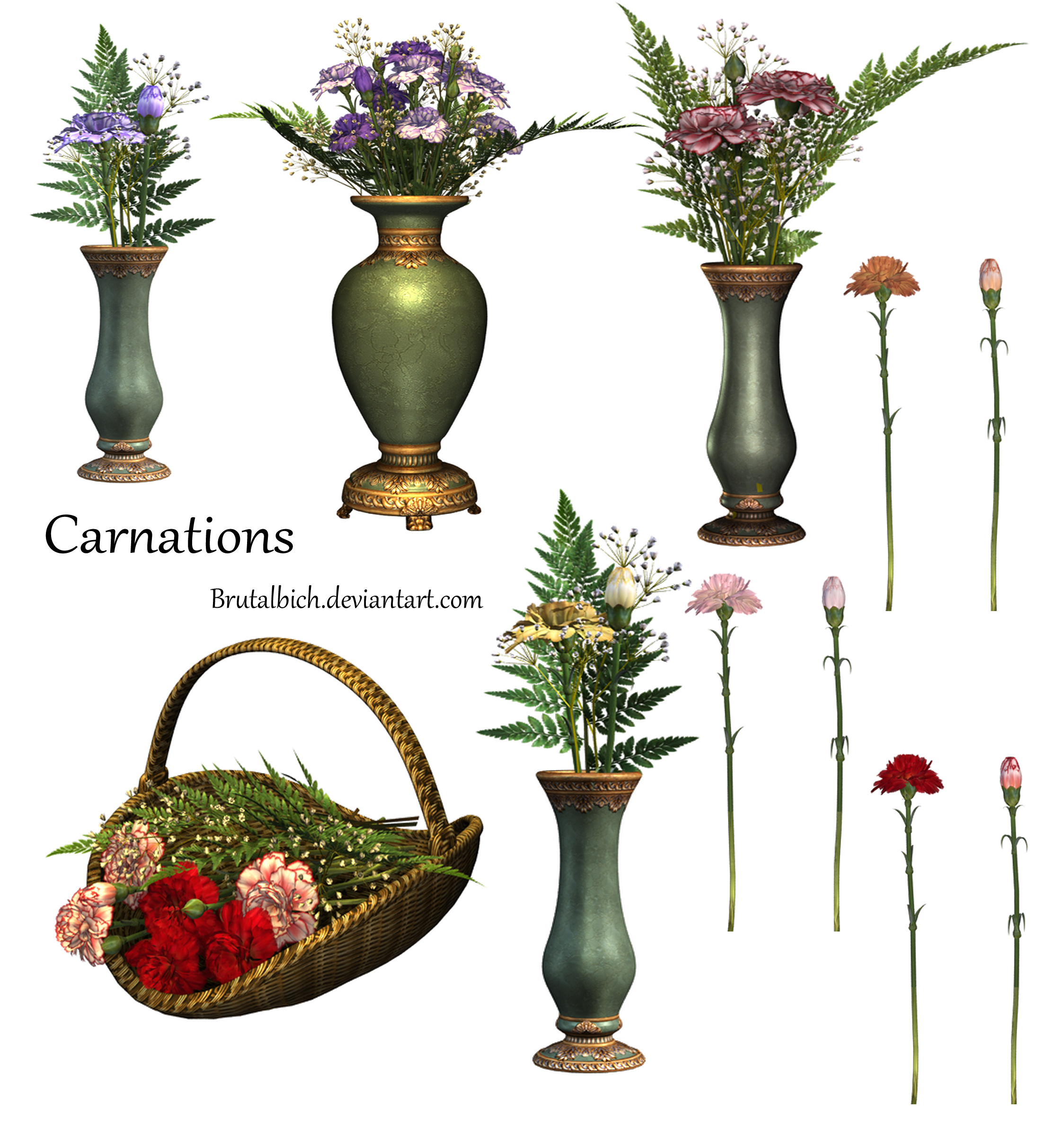 Carnations PSD