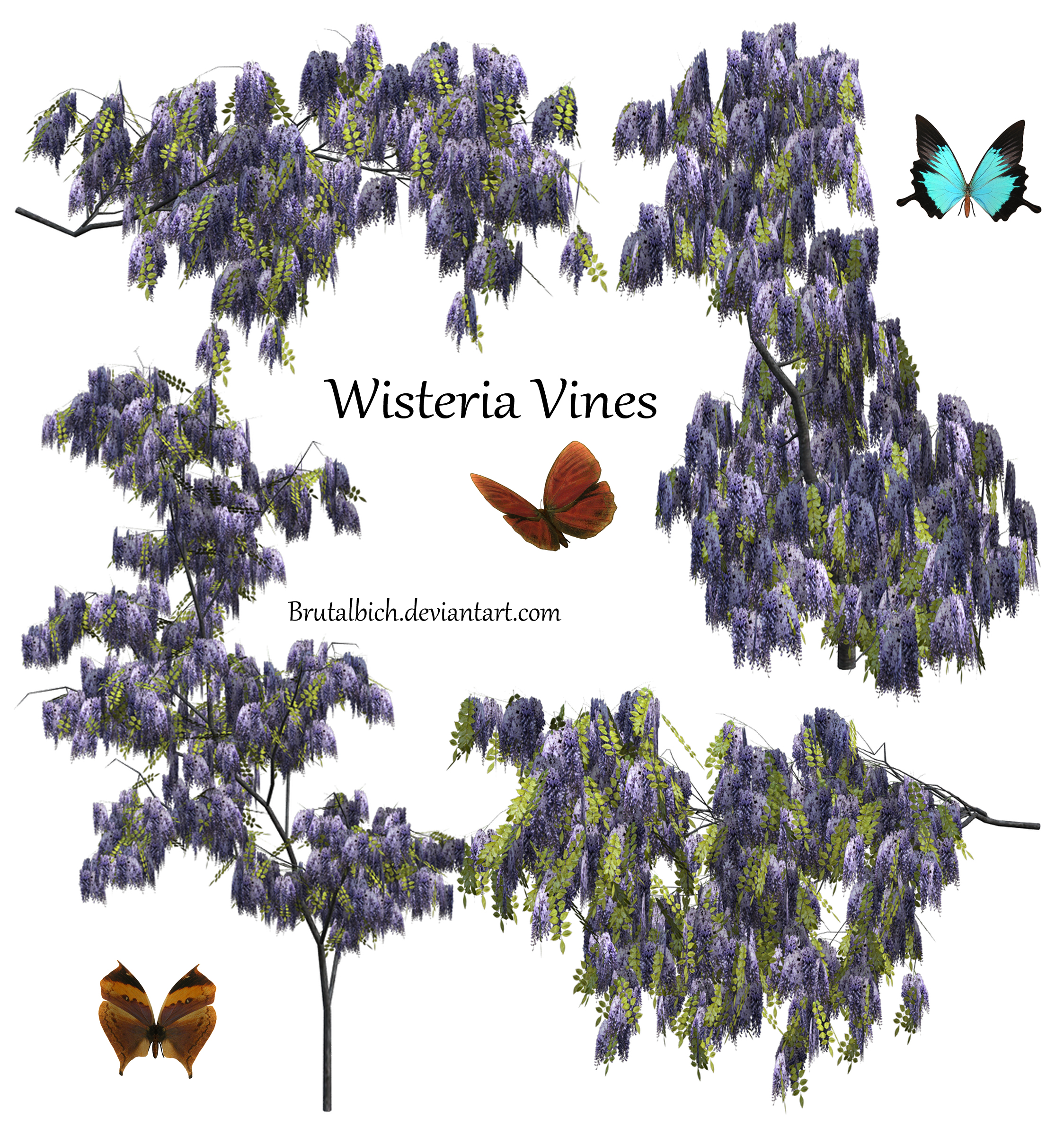 Wisteria PSD