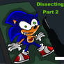 Dissecting Sonic prt.2