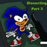 Dissecting Sonic prt.3