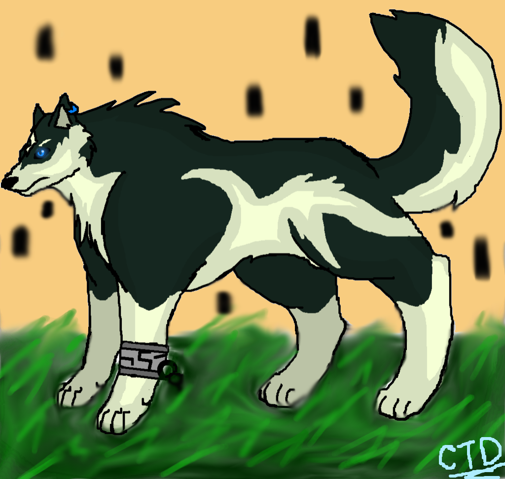 Wolf Link by Chimerathedragon on DeviantArt