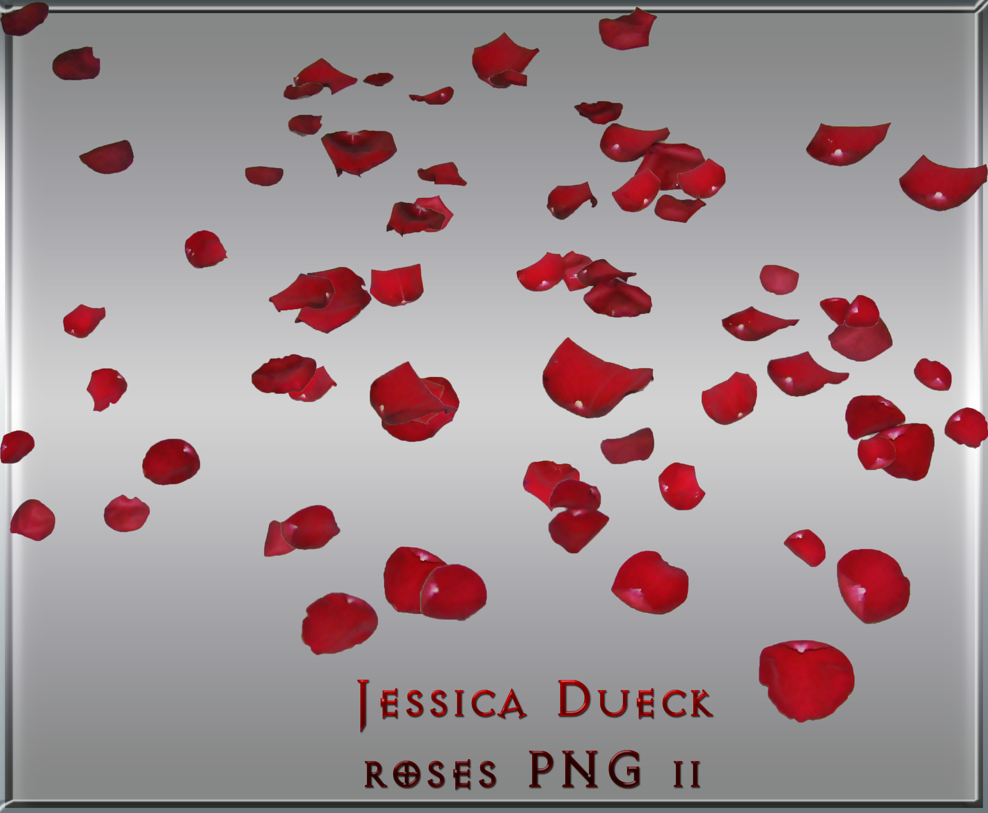 Red rose petals II