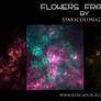 Flowers fractal by starscoldnight