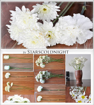 White flowers 3 stock photos by starscoldnight