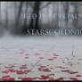 Red rose Petals III PNG by Starscoldnight