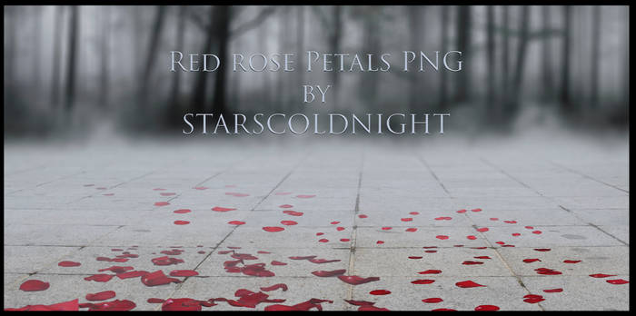 Red rose Petals III PNG by Starscoldnight