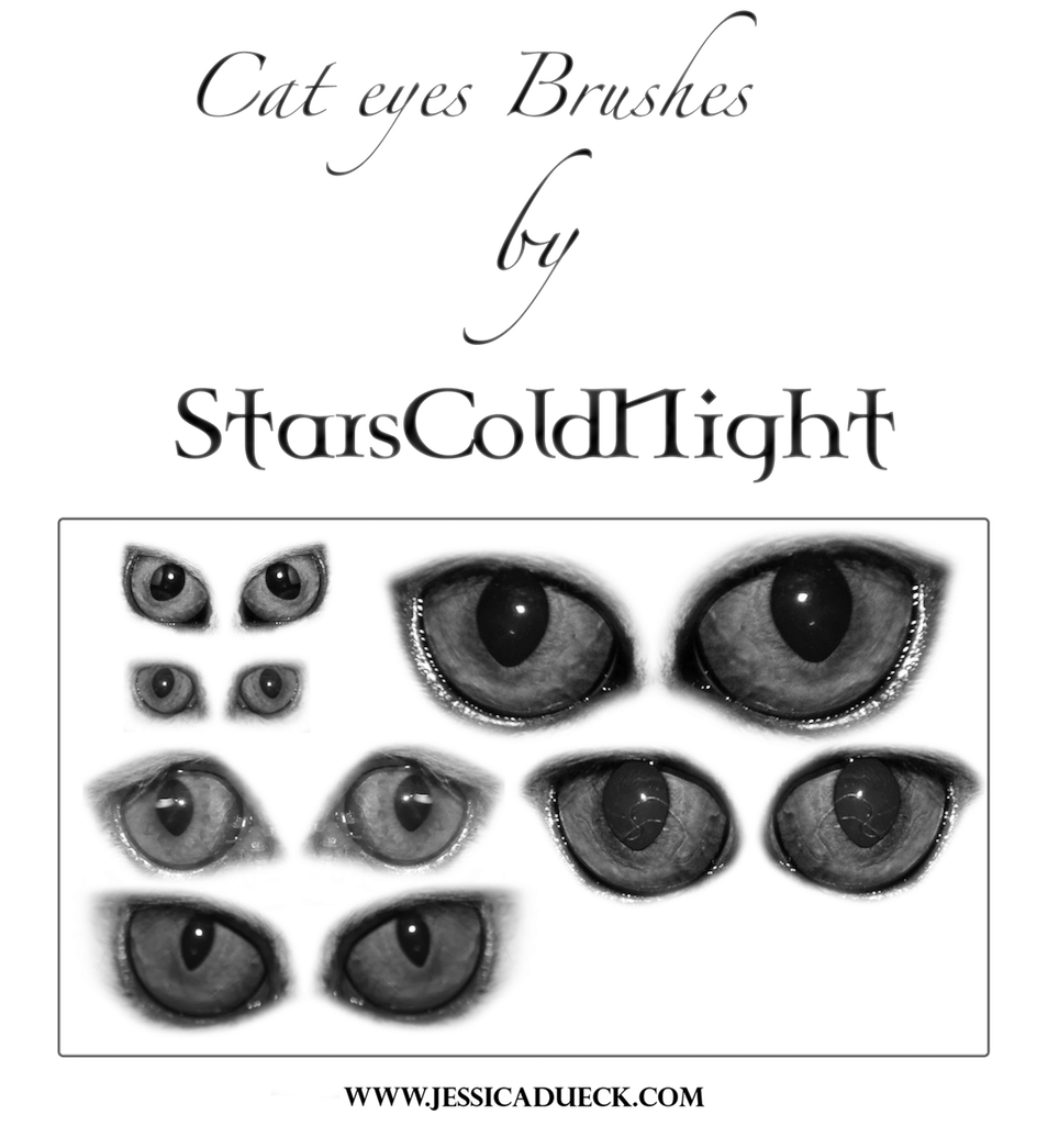 Cat Eyes Brushes By Starscoldnight