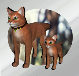 Cats