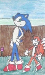 Sonic and Tails Mini