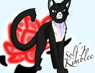 Kimblee KItty