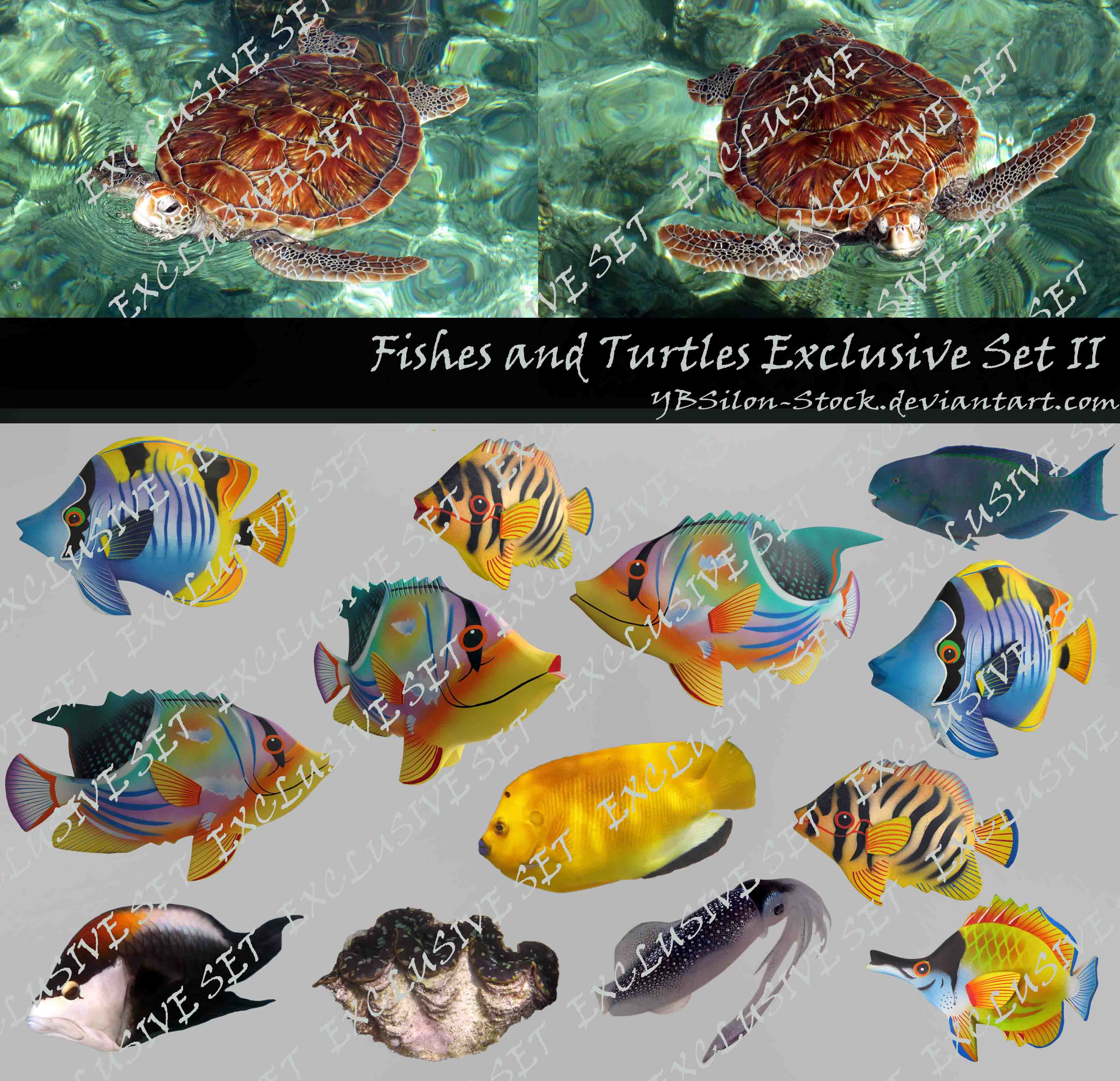 Fishes and Turtles Exclusive Set II