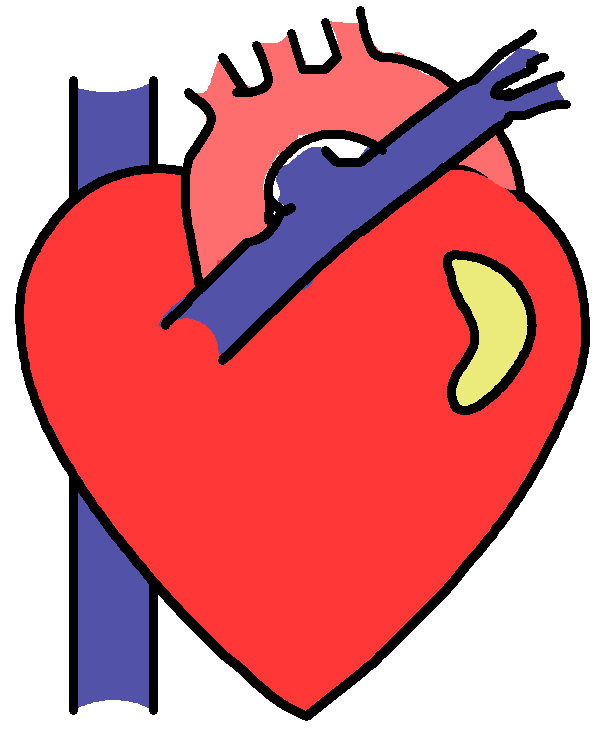 Anatomical Heart by darkslavar on DeviantArt