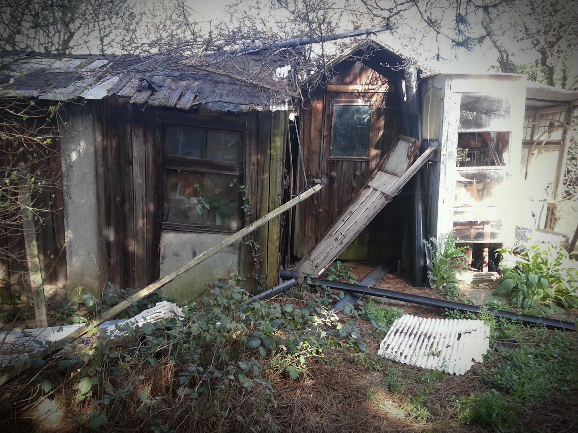 Derelict by skullsdirect on DeviantArt