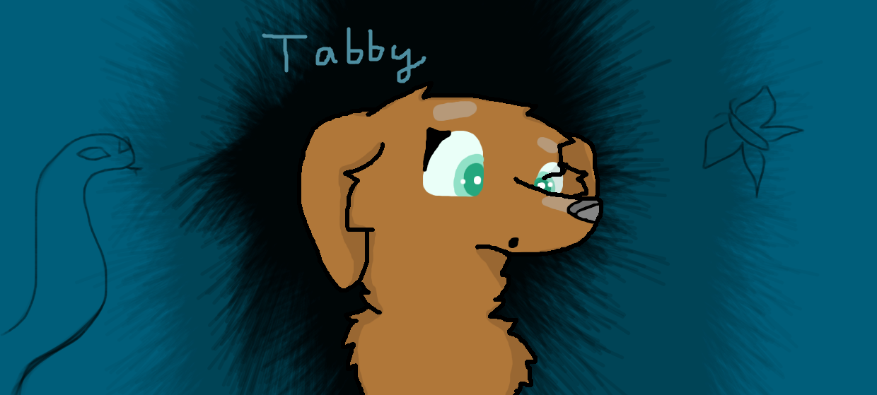 Tabby the Dachshund