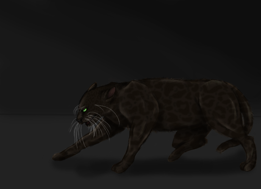Black Leopard by NeonArt13 on DeviantArt
