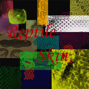 Reptile Skin Brushes by ImABunny on DeviantArt