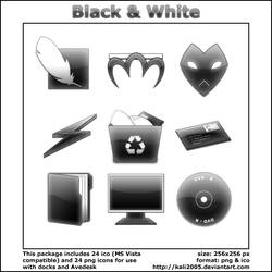 Black and White Icons