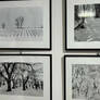 MOSTRA (GIUGNO 2024)