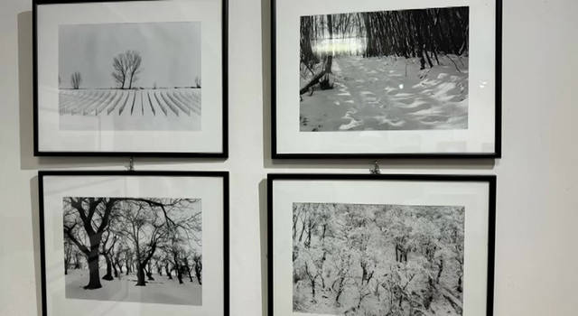 MOSTRA (GIUGNO 2024)