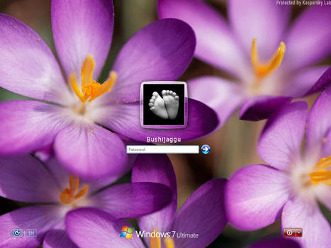 purple crocuses logon for xp