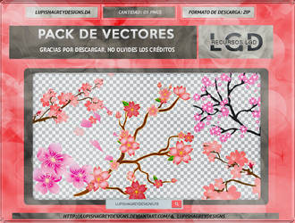 PACK DE VECTORES