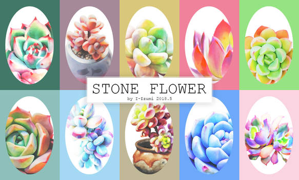 stone flower*10