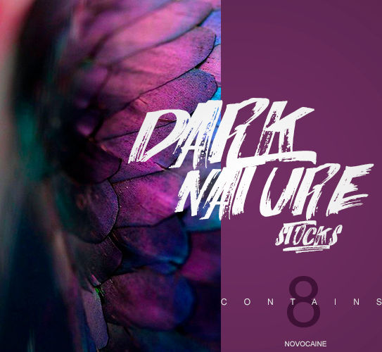 01 | Dark Nature | Stocks