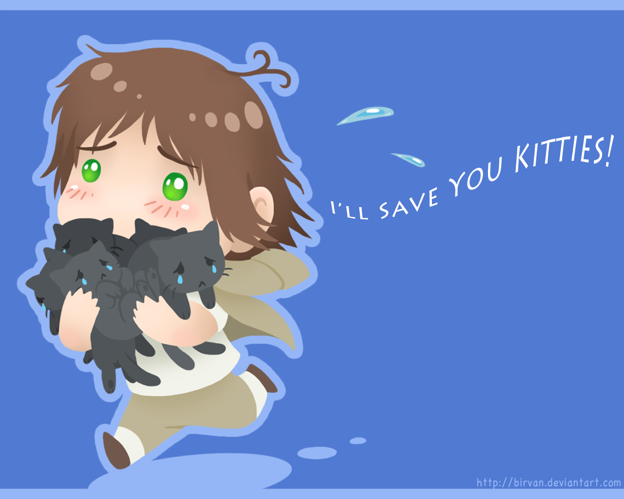 I'll Save You Kitties - Wallpaper