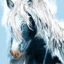 Blue Stallion