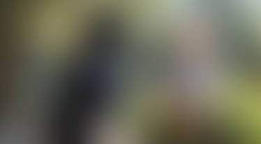 The Tribe [TG TF Indigenous]