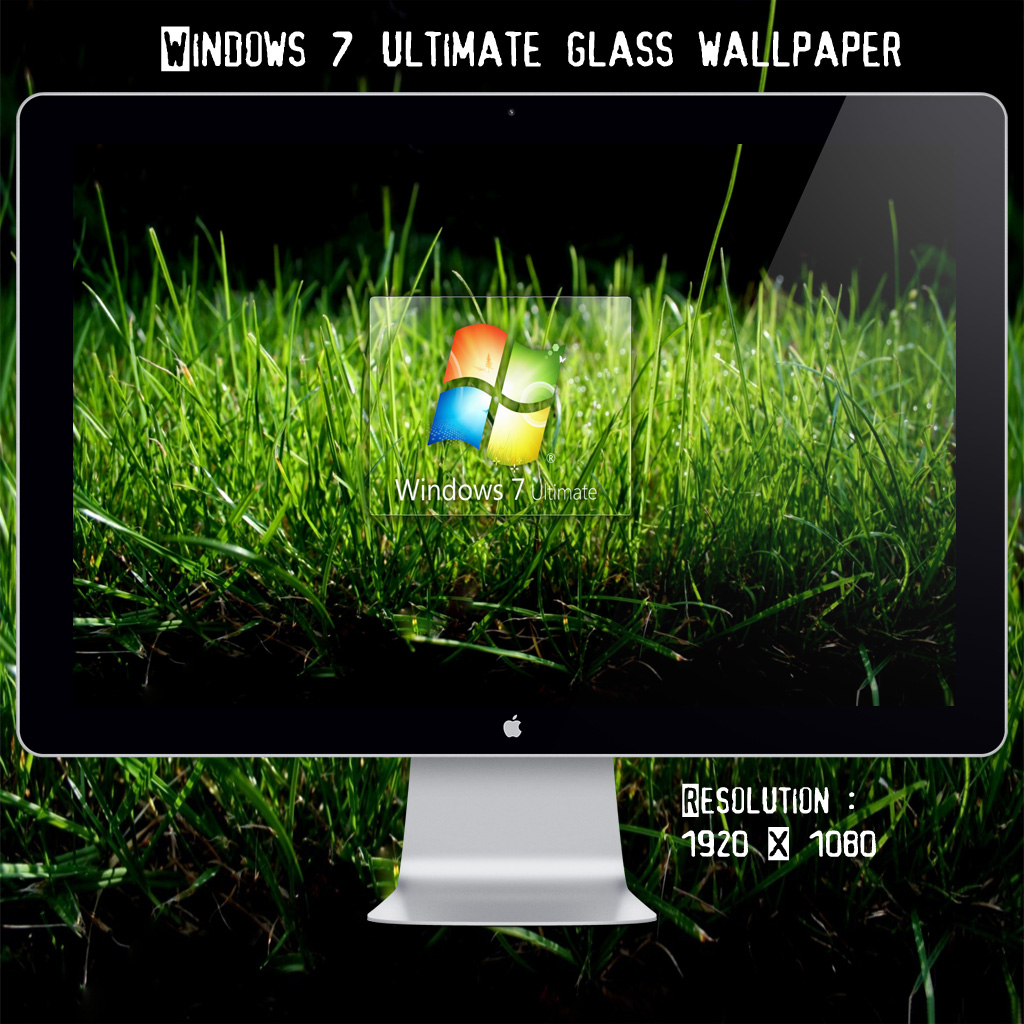 Win 7 Ultimate Grass Wallpaper