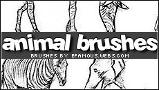 Brushes 03