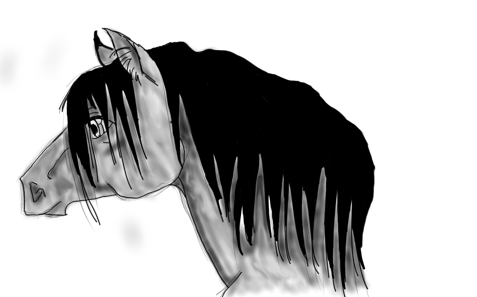 Shaded Horse by mysticunicorn on DeviantArt