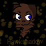 Hawkshadow