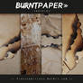 Burnt Paper // TEXTURES