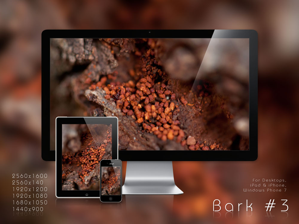 .: Bark 3  .  WP Set :.