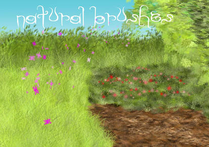 natural brushes by Snow-Body, visual art