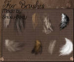 Brushes: FUR 1