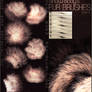 Brushes: Fur part: 4