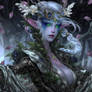Drow Dryad Elf Cursed Fairy DnD Fantasy MP4 + PNG