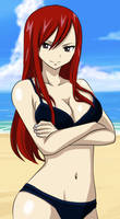 Erza Scarlet bikini by Berg-anime on DeviantArt
