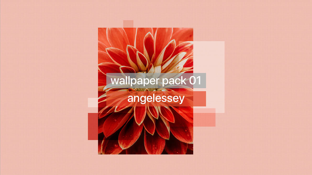 Wallpapers Cellophane By Angelessey On Deviantart These hd iphone wallpapers are free to download for your iphone(include iphone 12). deviantart