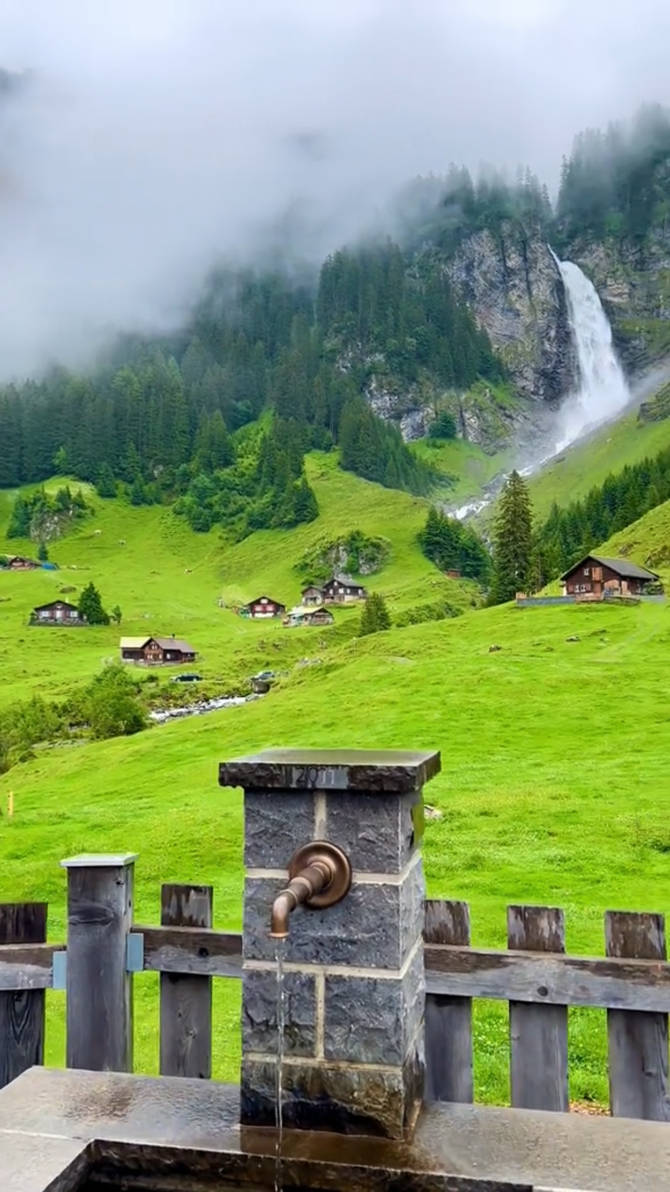 Best Of Ssbbw ThickieSakura - Porn Videos Photos by Deonnis6 on DeviantArt